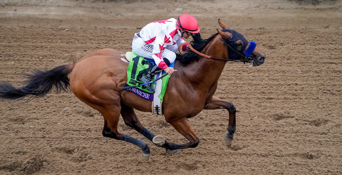 tvg breeders cup